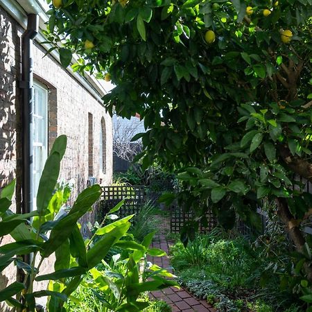 Henry'S On Balfour - Historic Understated Luxury Villa Launceston Exteriör bild